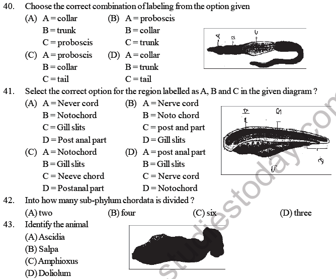 neet-biology-animal-kingdom-mcqs-multiple-choice-questions